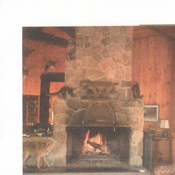 fireplace0015.jpg